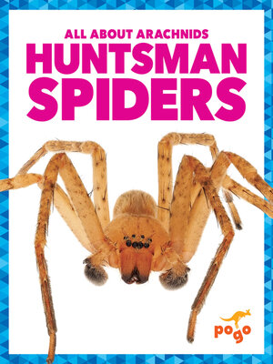 cover image of Huntsman Spiders
